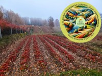 GŁÓWNY SZLAK ŚWIĘTOKRZYSKI ZDOBYTY